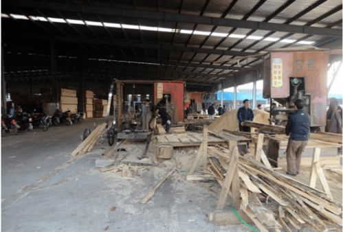 严查 木材行业专项整治 百日行动